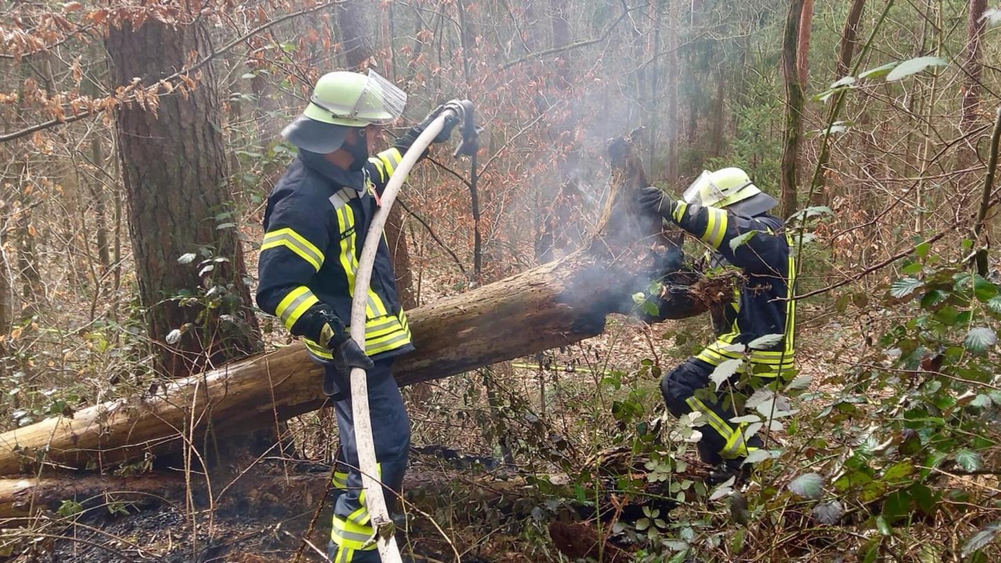 Rund 75 Minuten dauerte der Einsatz am Samstagvormittag im Stadtwald. Rund 75 Minuten dauerte der Einsatz am Samstagvormittag im Stadtwald.