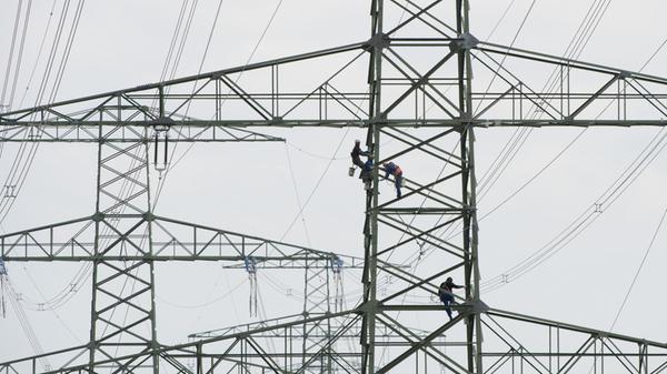 ARCHIV - 08.06.2015, Thüringen, Langewiesen: Arbei