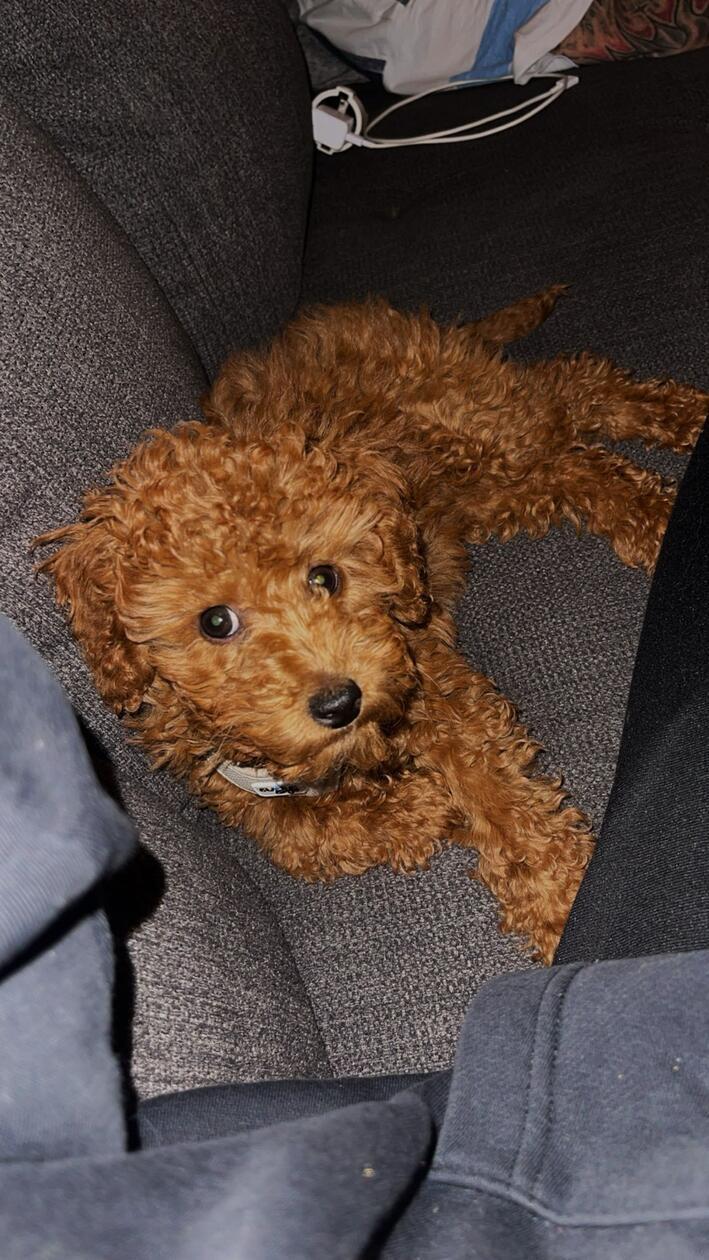 "Was macht der da?", denkt sich bestimmt dieser feine Kerl.