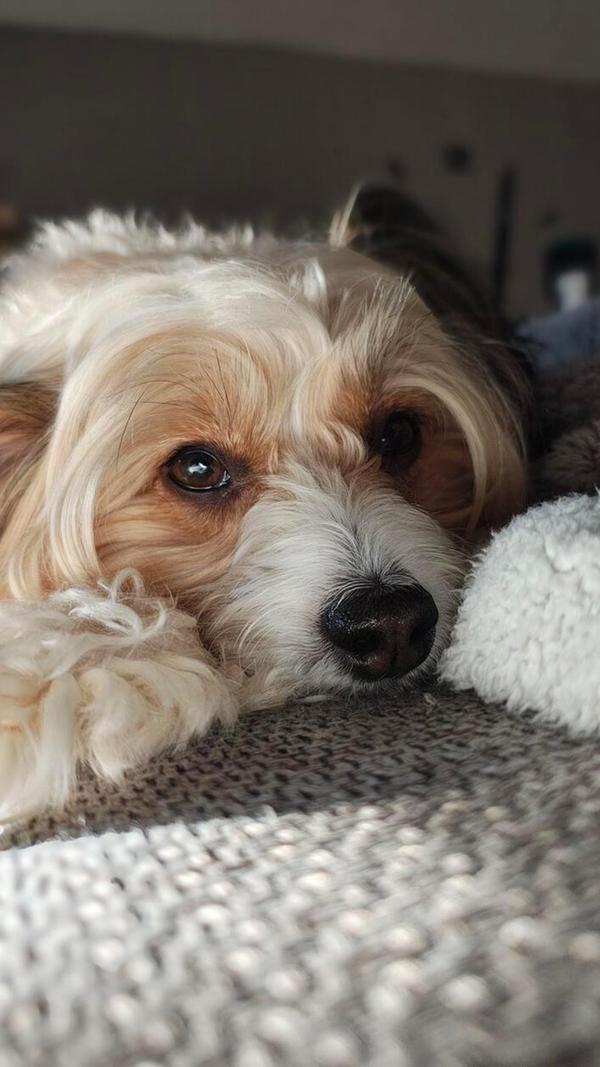 Wer kann diesen Augen widerstehen?