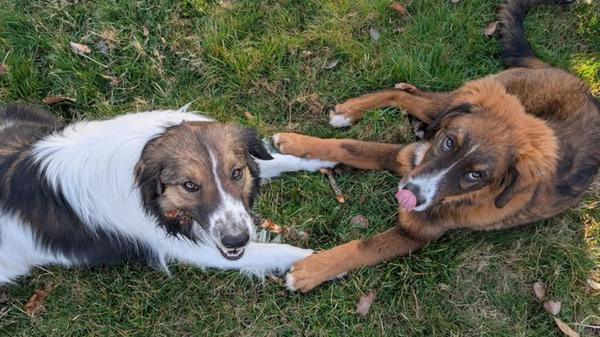 Beste Freunde für immer!