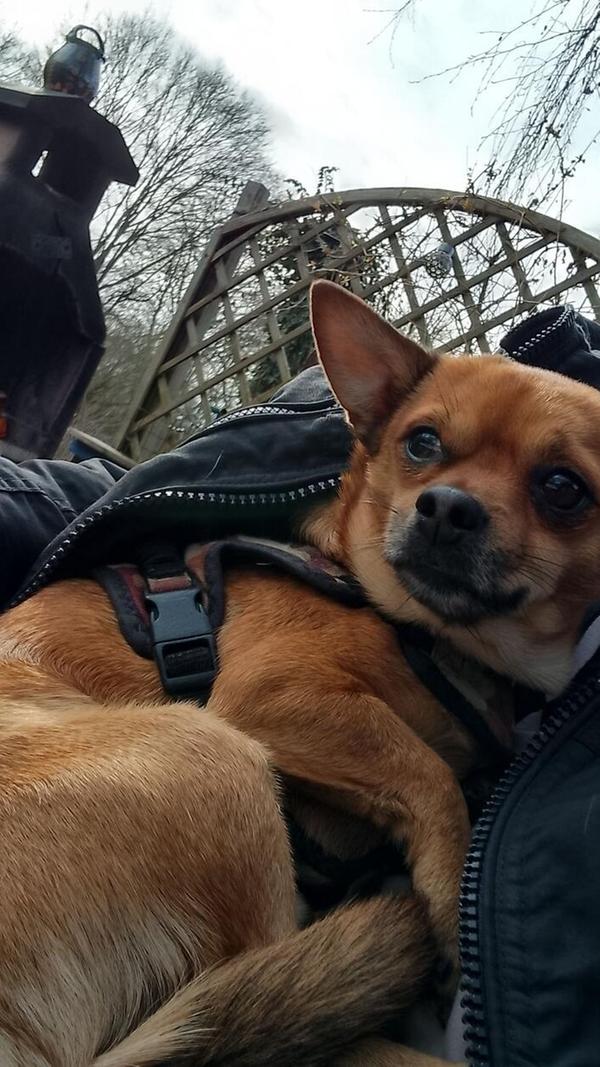 Charly kuschelt sich wohl gerne in Jacken ein.