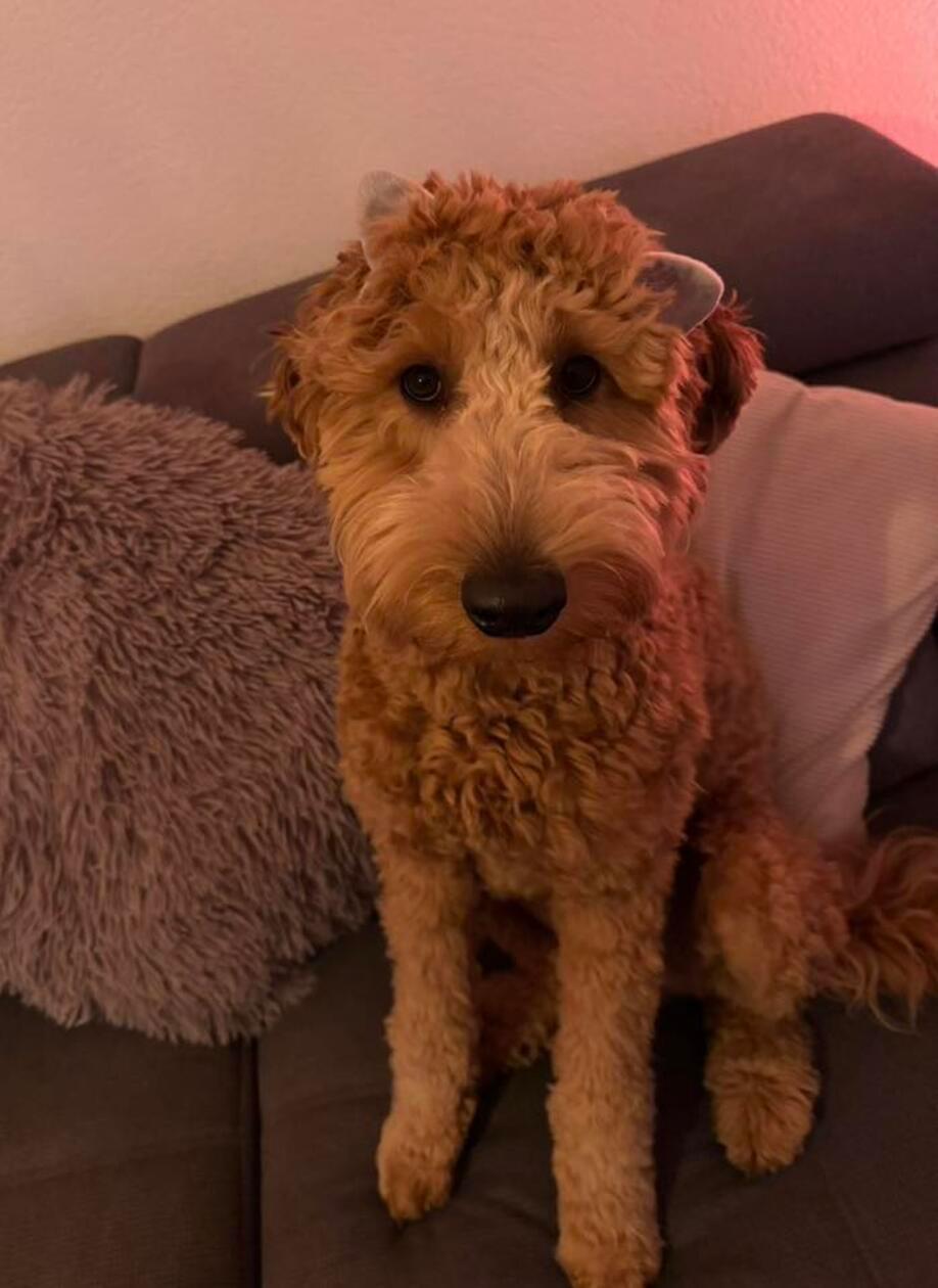 Wer kann diesen Augen wiederstehen?