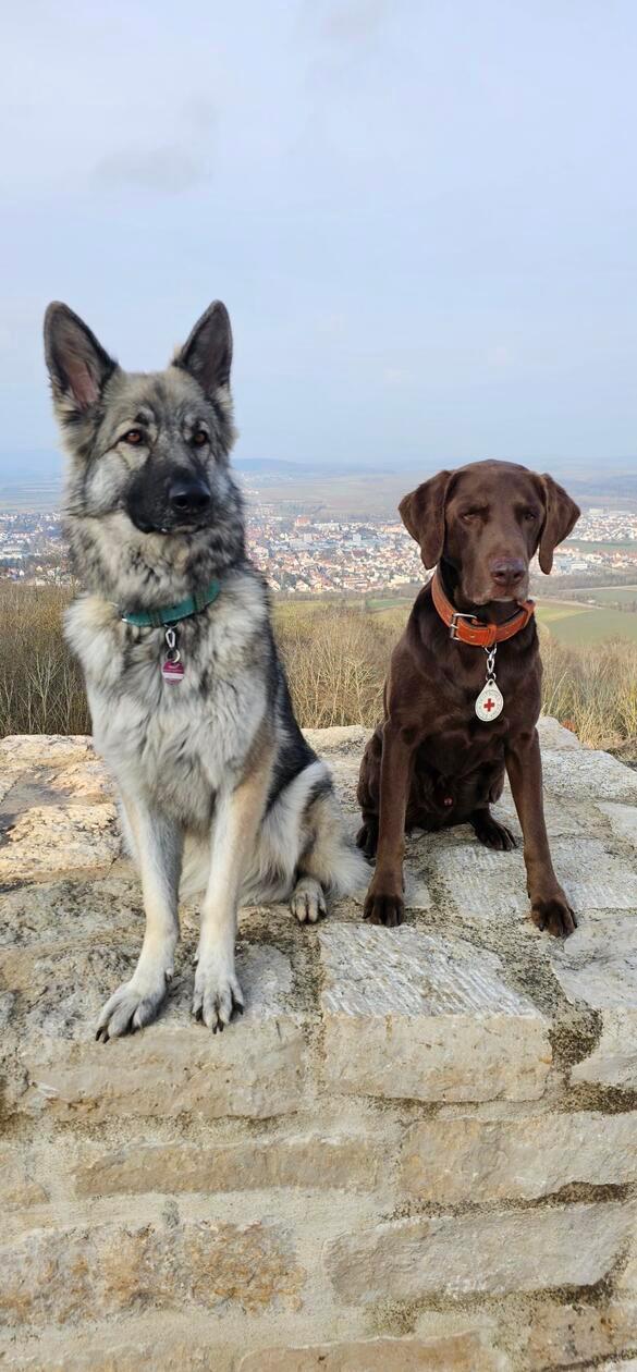 Die beiden haben alles im Blick.