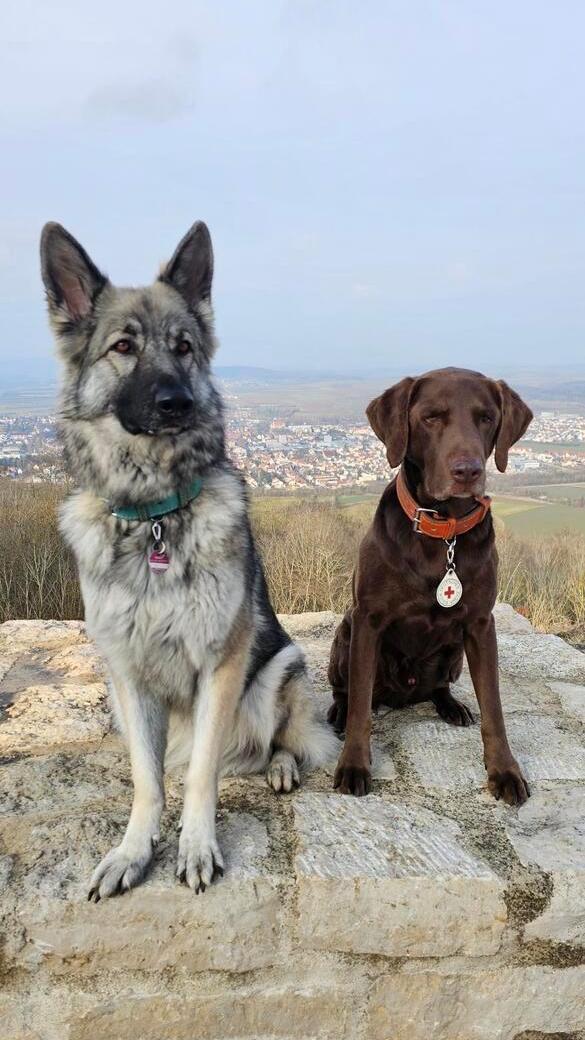 Die beiden haben alles im Blick.