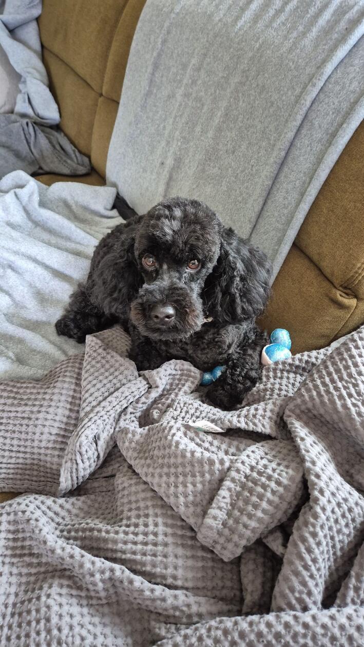 In der Decke ist es am kuscheligsten!