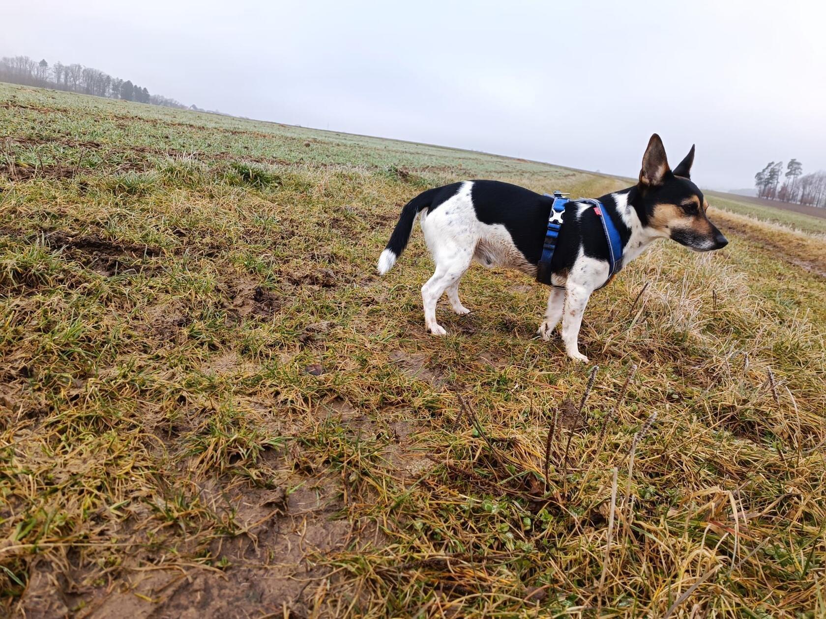 Was hat dieser Kollege hier gesehen?