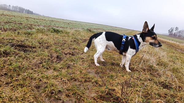 Was hat dieser Kollege hier gesehen?