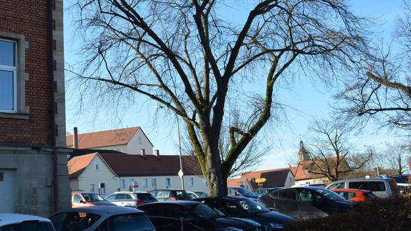 Parkplatz-Weissenburg-Progymasium