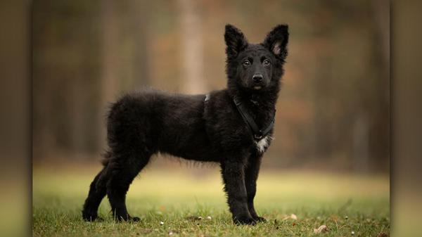 507a0d2fa08bfa2bd49b890b9cc4a695