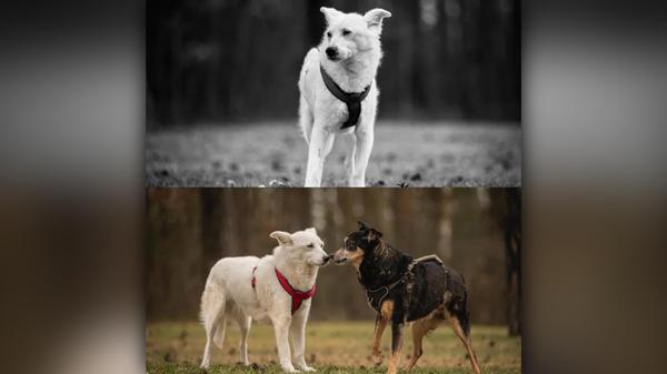 2025-04-05_17-38_bild_erweitern