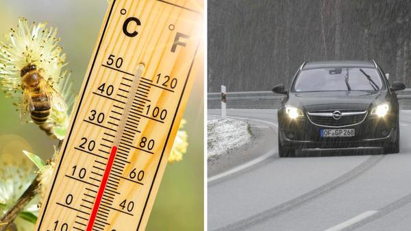 2025-04-05_17-55_collage