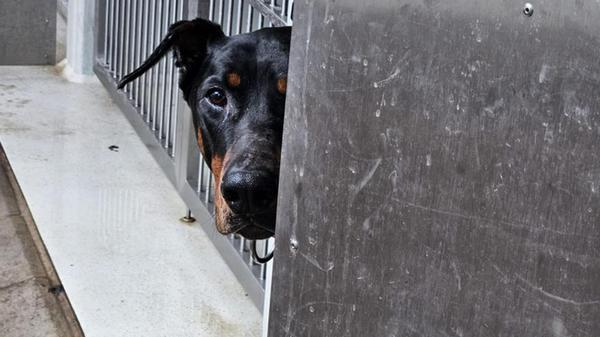 2025-04-09_18-20_bild_erweitern