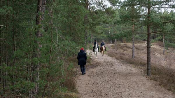 30mrz2025_8861_dxo - 1