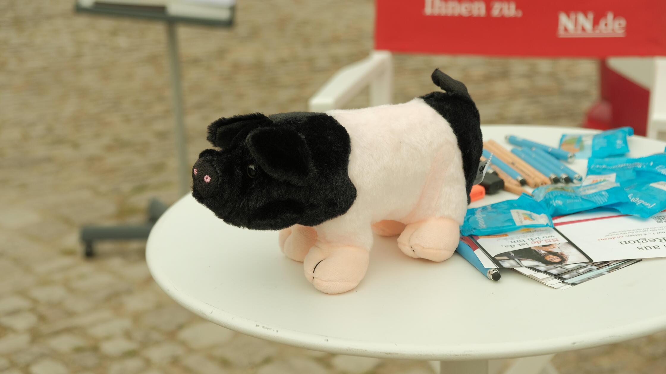 Passend dazu schaute auch ein Freilandmuseums-Kuscheltier-Schwein am NN.de-Bus vorbei. Pssst - übrigens, was kaum einer weiß: Ein solches Schweinchen lebt auch in den NN.de-Redaktionsräumen in Nürnberg.