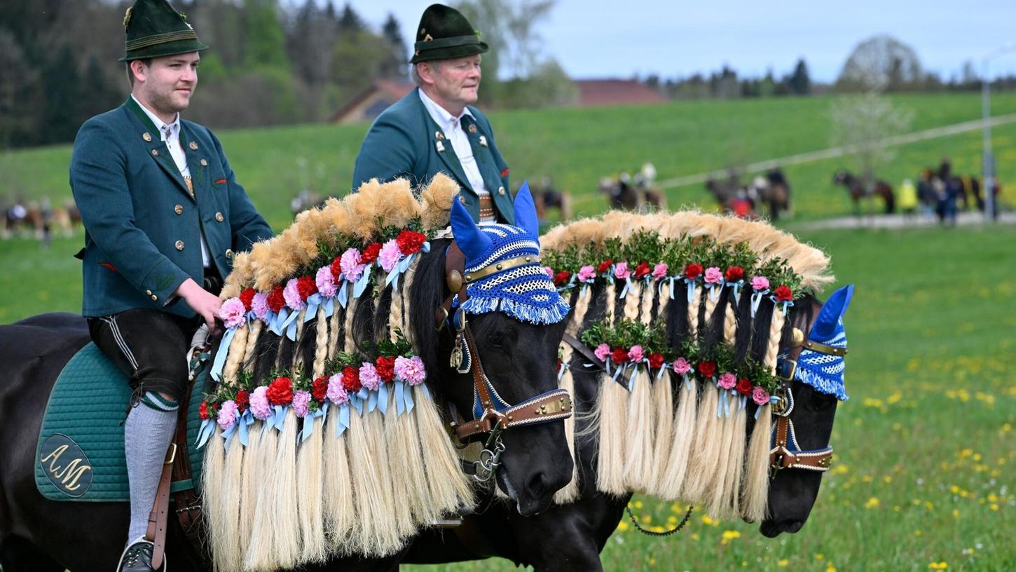 Die Pferde sind beim Georgiritt festlich geschmückt. Die Pferde sind beim Georgiritt festlich geschmückt.