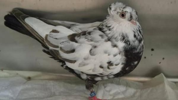 491444669_18394650154128839_1204585476378415318_n