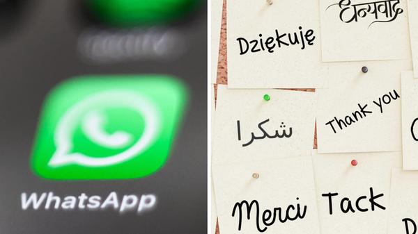 2025-04-22_18-34_collage