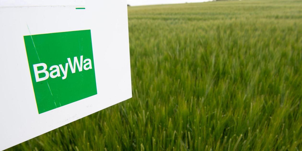 Baywa: These locations will close in 2025 - | Franconia also affected
