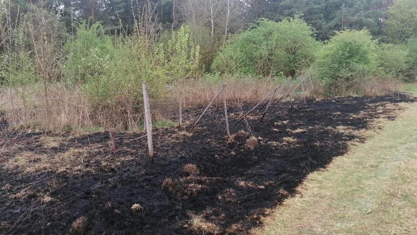 Dieses Foto zeigt, wie weit sich die Flammen im Wald bei Velburg ausgebreitet hatten. Dieses Foto zeigt, wie weit sich die Flammen im Wald bei Velburg ausgebreitet hatten.