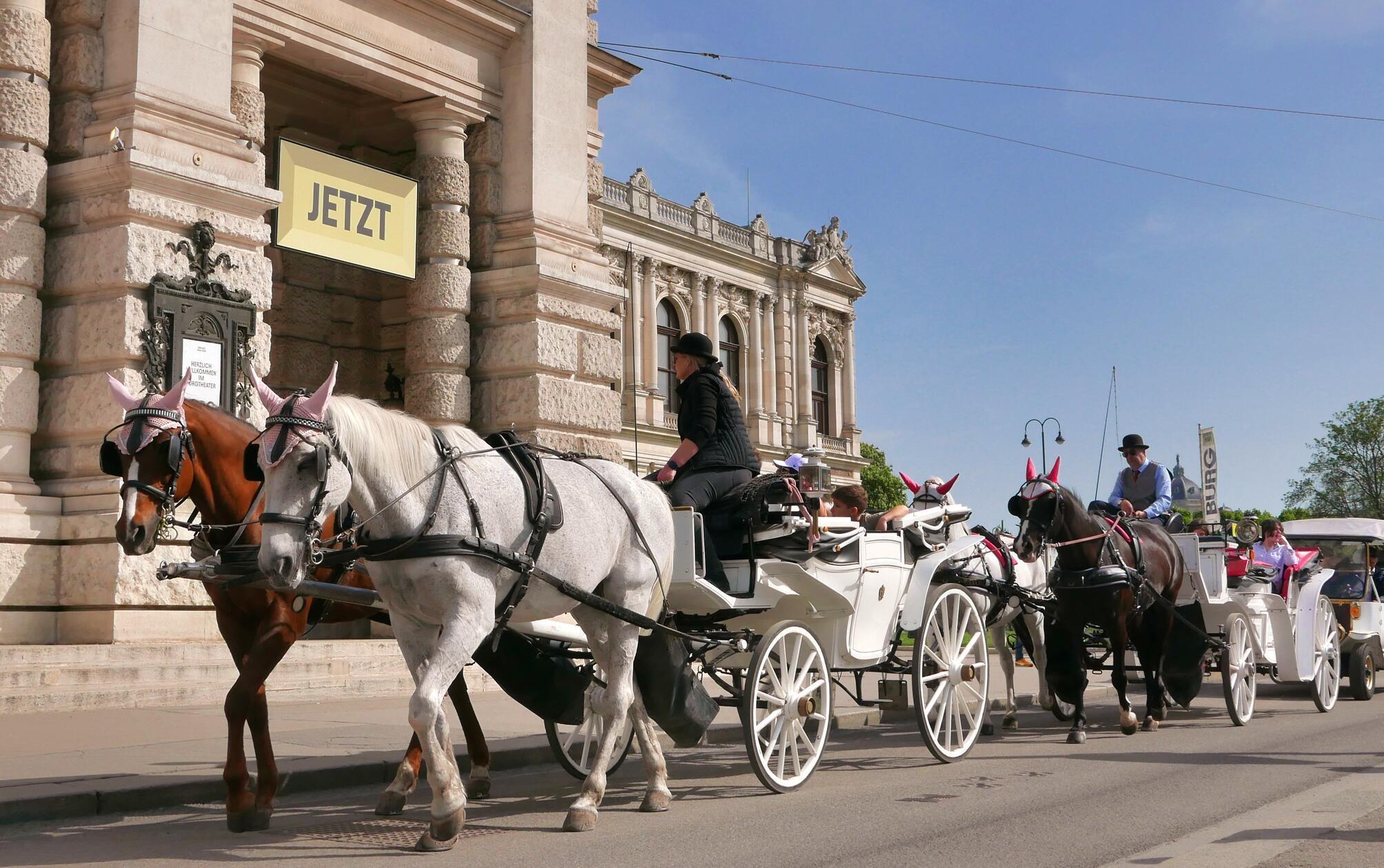 Dann geht es nach Wien - klar, dass wir auch einen Fiaker vor der Oper fotografieren müssen.