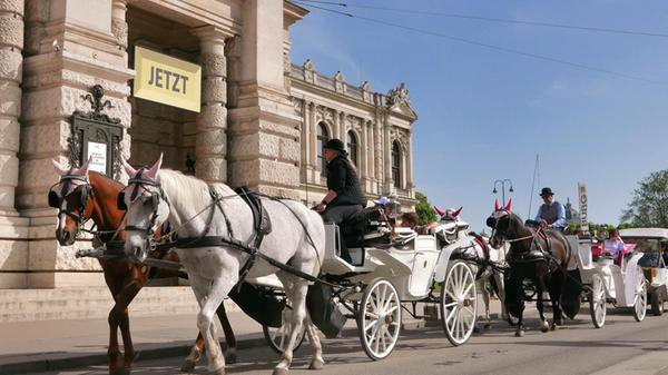 Dann geht es nach Wien - klar, dass wir auch einen Fiaker vor der Oper fotografieren müssen.