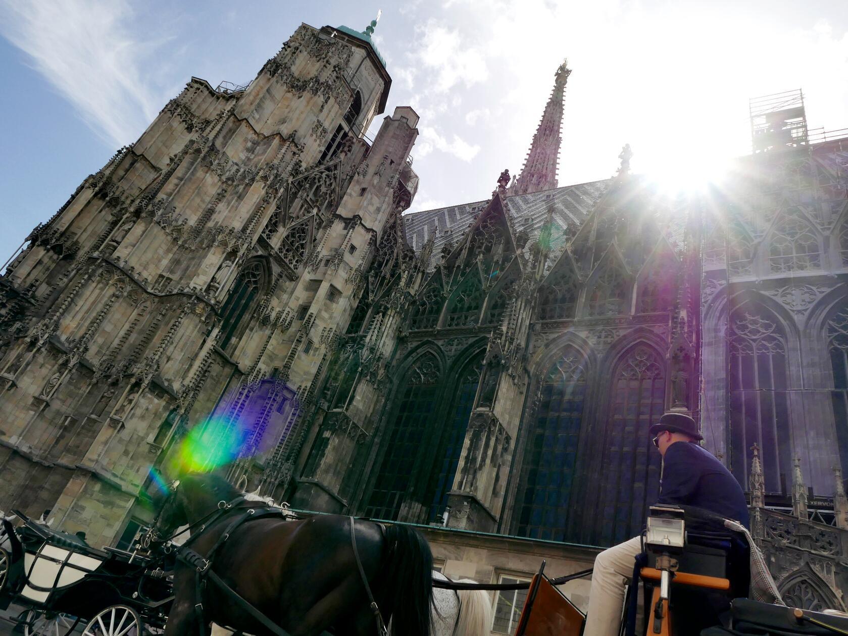 Ein Fiaker vor dem Stefansdom.