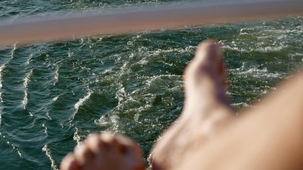 Ist die Donau nun blau oder nicht? Bei der Ausfahrt aus Wien kann man genüsslich darüber philosophieren.