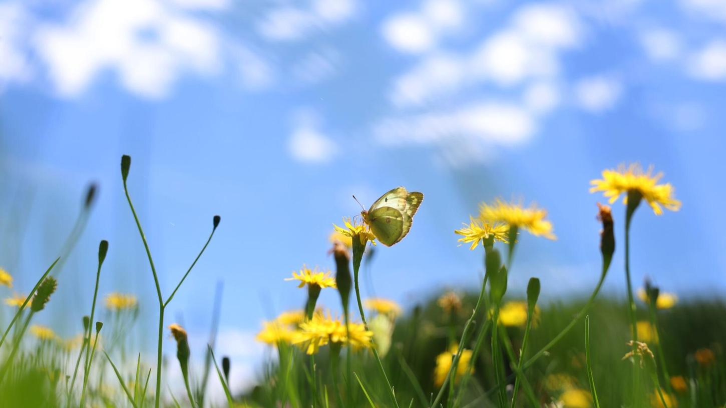 Die Meteorologen erwarten blauen Himmel und Sonnenschein über Deutschland. Die Meteorologen erwarten blauen Himmel und Sonnenschein über Deutschland.