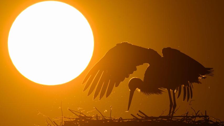 „Das Frühlingswetter läuft in den kommenden Tagen zur Hochform auf“, sagt der DWD-Meteorologe. „Das Frühlingswetter läuft in den kommenden Tagen zur Hochform auf“, sagt der DWD-Meteorologe.