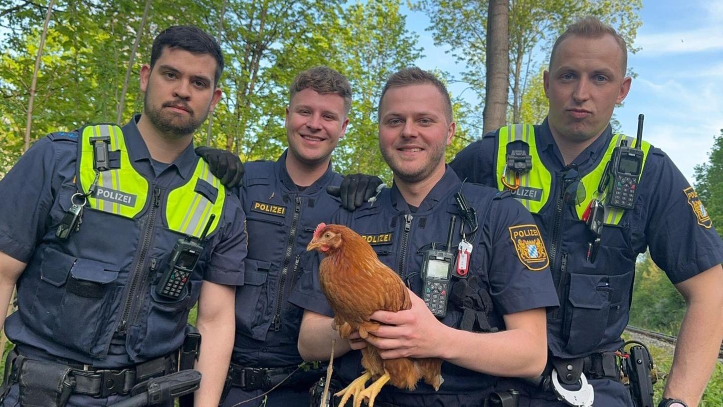 Beamte der PI Sulzbach-Rosenberg mit dem eingefangenen Huhn. Beamte der PI Sulzbach-Rosenberg mit dem eingefangenen Huhn.