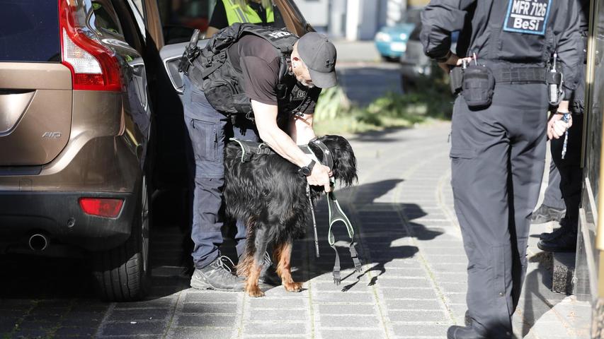 Ein Hund der Polizei suchte im Umfeld des Tatorts nach einer dritten Person, die möglicherweise am Geschehen beteiligt gewesen ist. Ein Hund der Polizei suchte im Umfeld des Tatorts nach einer dritten Person, die möglicherweise am Geschehen beteiligt gewesen ist.
