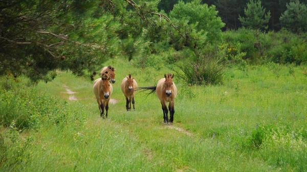 EdInputPic20b4e60e-843f-47b7-9250-fa4fba495361