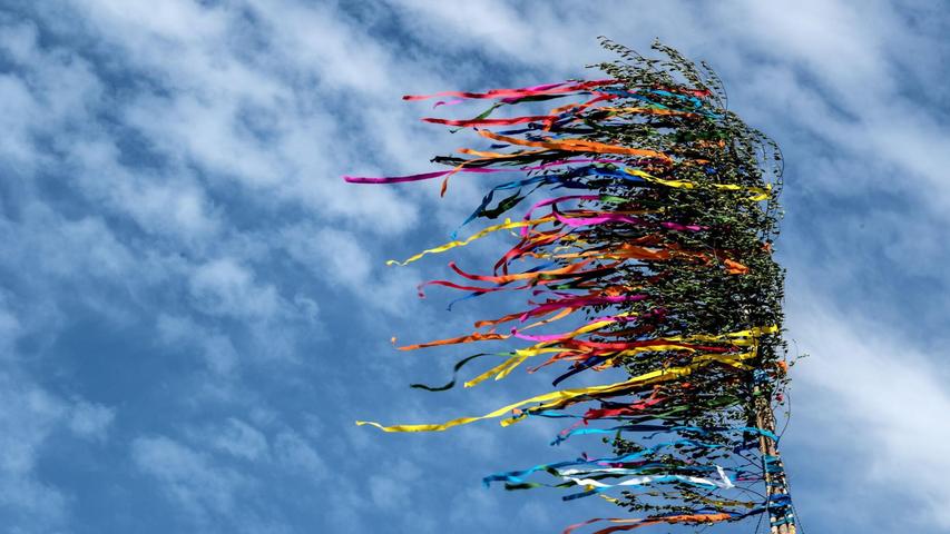 Am Niederrhein ist ein Maibaum umgekippt - es gibt mehrere Verletzte. (Illustration) Am Niederrhein ist ein Maibaum umgekippt - es gibt mehrere Verletzte. (Illustration)