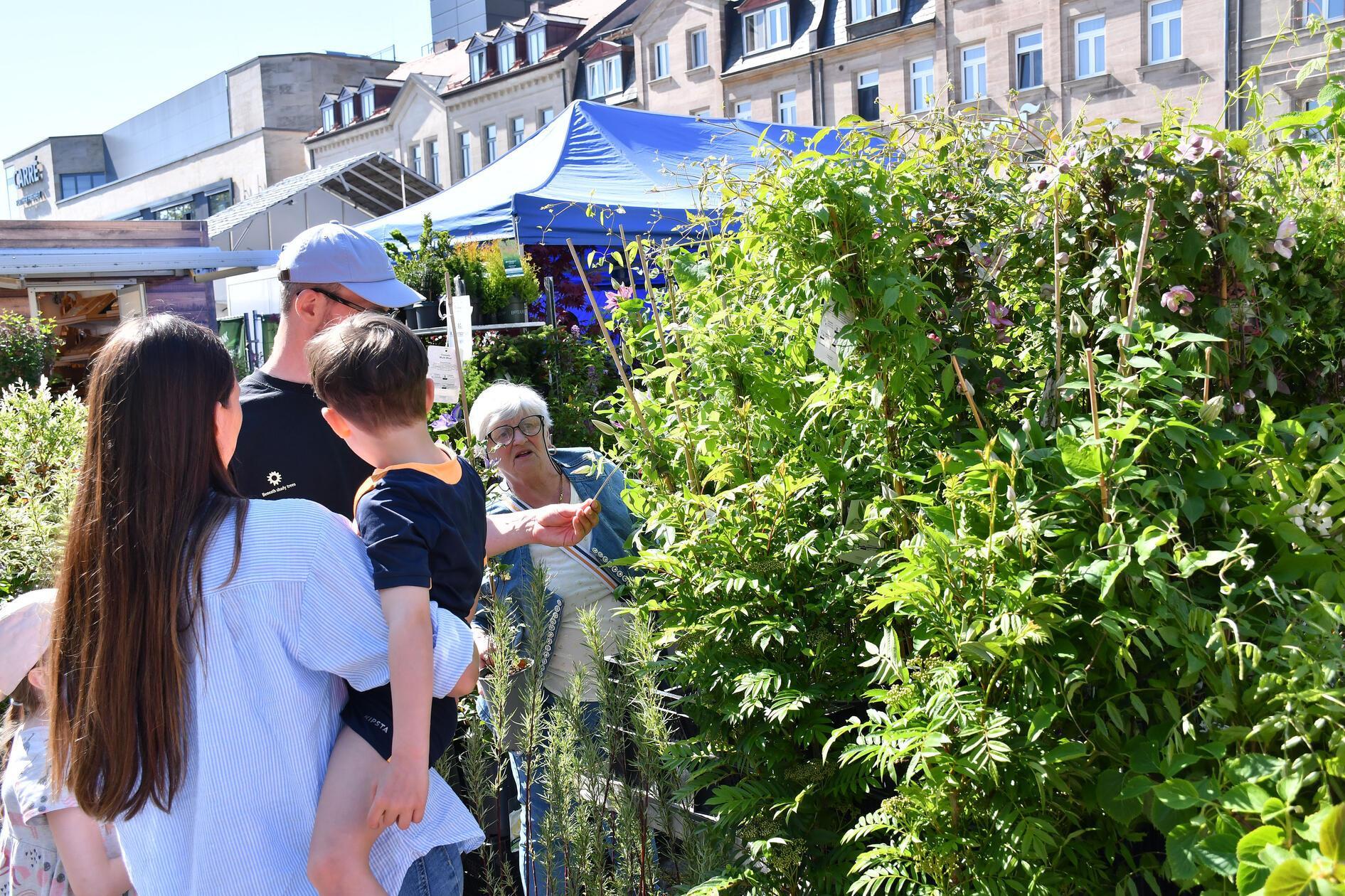 Gartenmarkt