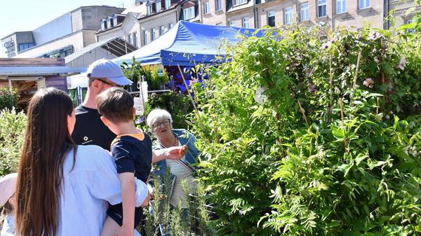Gartenmarkt