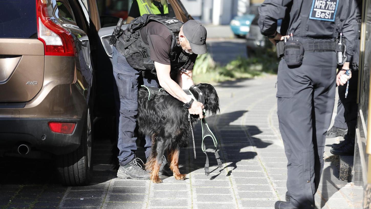 Nach Bluttat in der Wiesenstraße: Unter anderem mit einem Mantrailing-Hund suchte die Polizei am Mittwoch nach einem möglichen Täter oder einer Täterin. Das Tier konnte offenbar eine Spur aufnehmen und diese bis zu einer Straßenbahn-Haltestelle verfolgen. Nach Bluttat in der Wiesenstraße: Unter anderem mit einem Mantrailing-Hund suchte die Polizei am Mittwoch nach einem möglichen Täter oder einer Täterin. Das Tier konnte offenbar eine Spur aufnehmen und diese bis zu einer Straßenbahn-Haltestelle verfolgen.