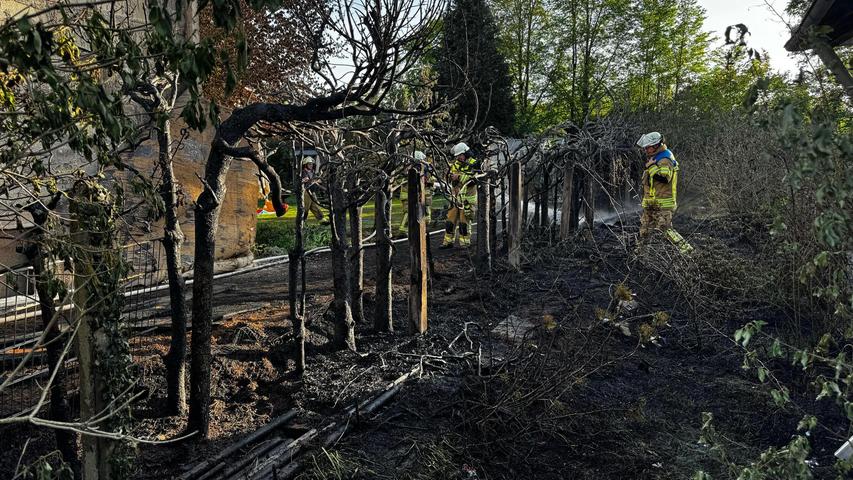 Von der Hecke blieb so gut wie nichts übrig. Von der Hecke blieb so gut wie nichts übrig.