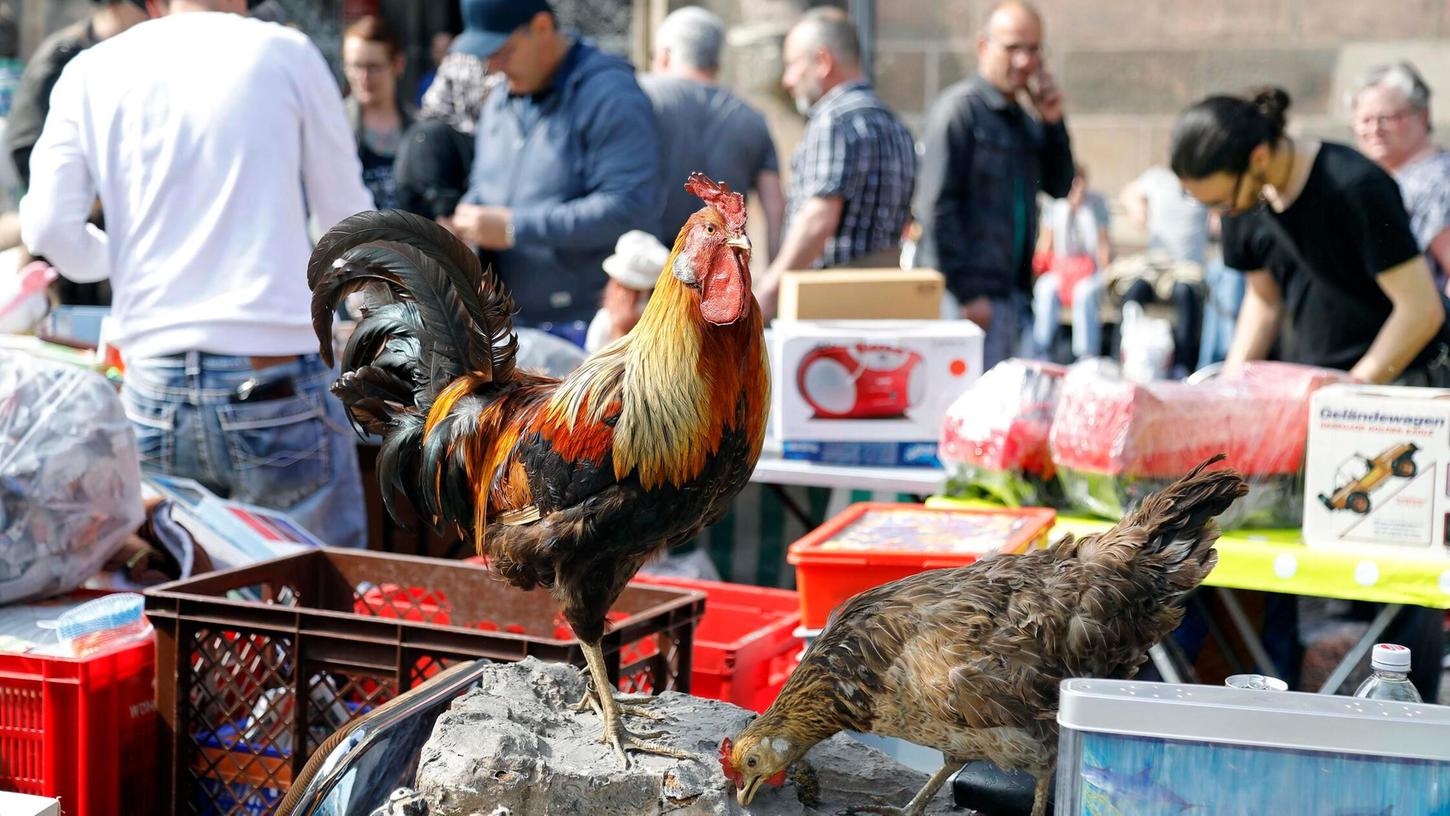 Es ist wieder so weit: Am Wochenende lädt der Frühjahrs-Trempelmarkt in die Nürnberger Innenstadt ein. Es ist wieder so weit: Am Wochenende lädt der Frühjahrs-Trempelmarkt in die Nürnberger Innenstadt ein.