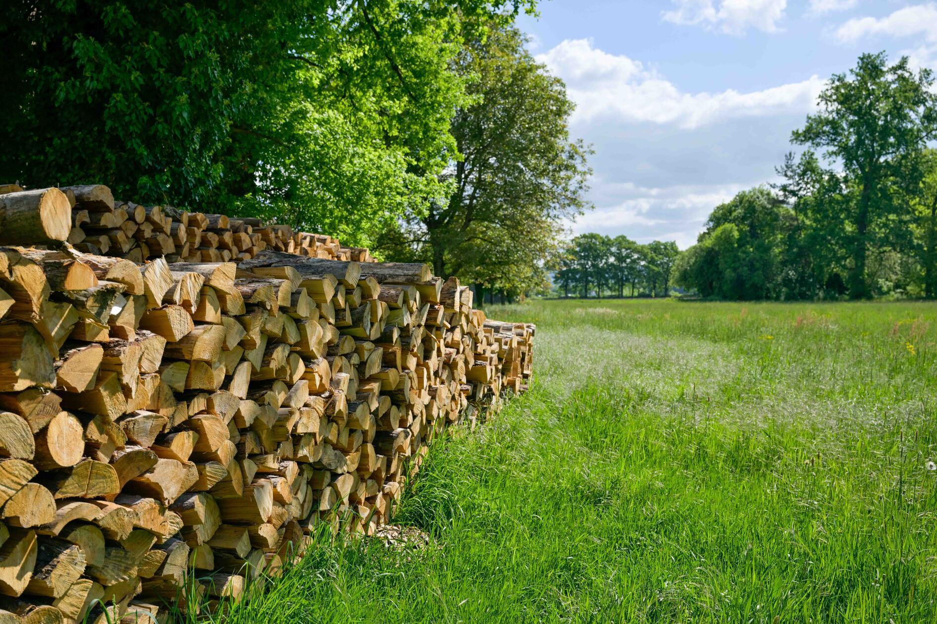 Welches Wort einem sofort zu Sigritzau einfällt? Idyllisch.
