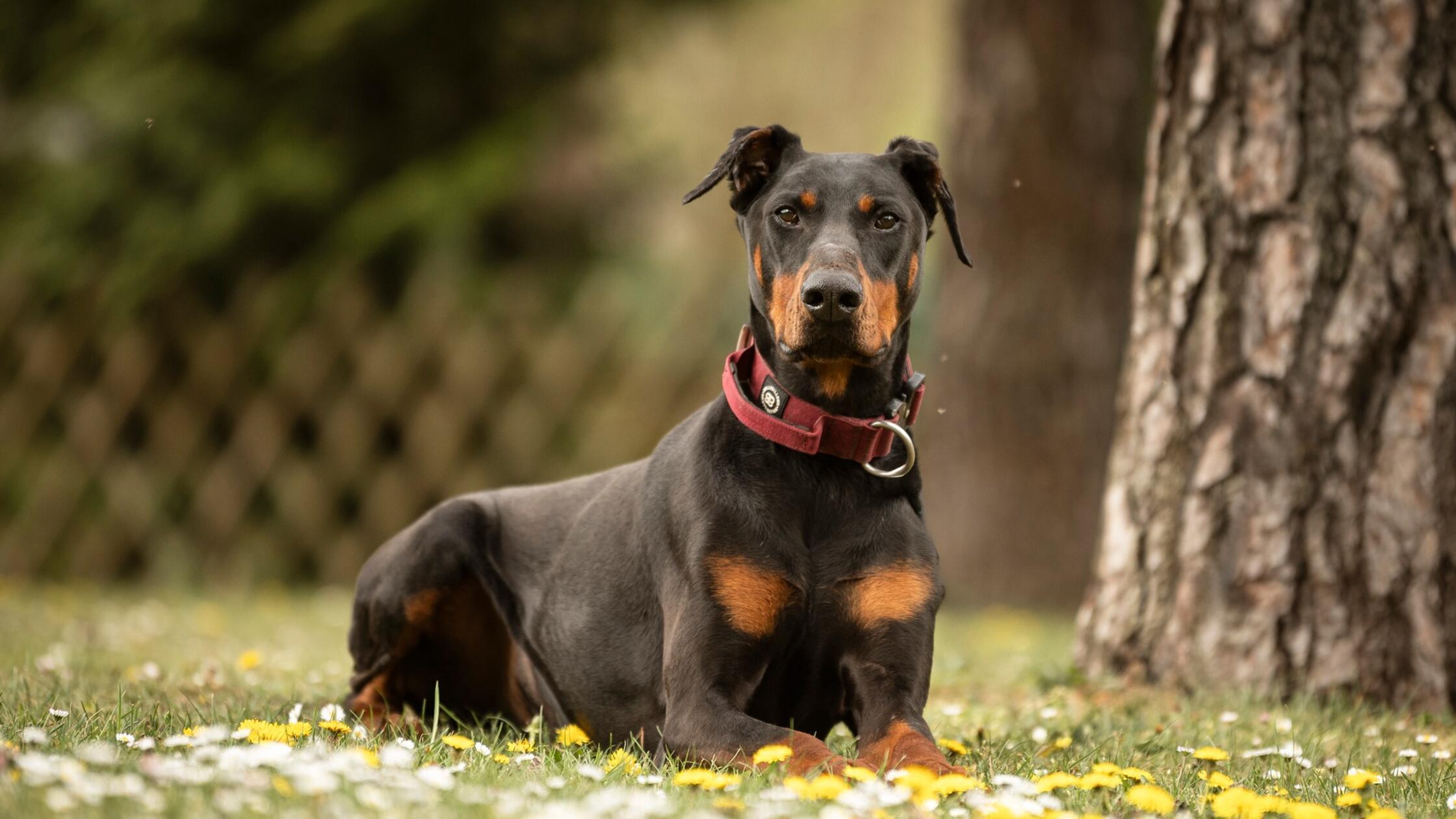 494699969_1105538694952234_4800457832401438775_n