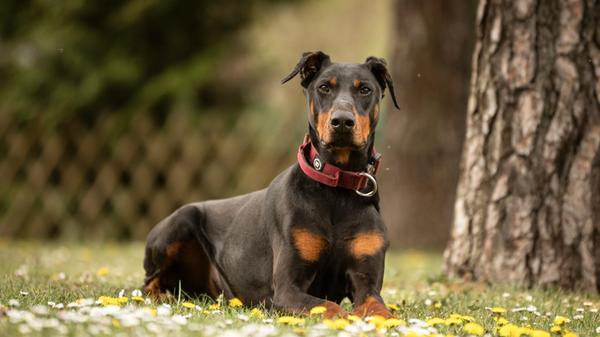 494699969_1105538694952234_4800457832401438775_n