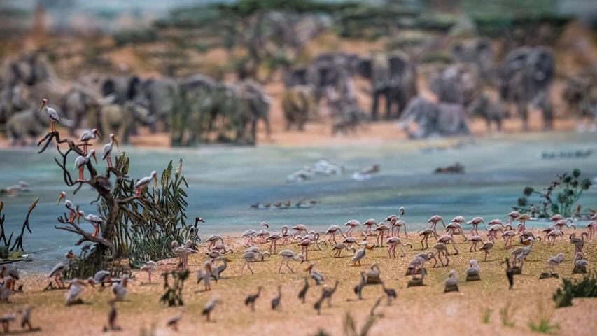 Afrika aus Zinn. Afrika aus Zinn.