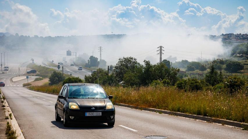 Straßen wurden gesperrt und der Zugverkehr eingestellt, als eine giftige Chlorwolke durch einen Brand in einer Lagerhalle in der Stadt Vilanova i la Geltrú südwestlich von Barcelona über dicht besiedeltes Gebiet hinwegzog. Straßen wurden gesperrt und der Zugverkehr eingestellt, als eine giftige Chlorwolke durch einen Brand in einer Lagerhalle in der Stadt Vilanova i la Geltrú südwestlich von Barcelona über dicht besiedeltes Gebiet hinwegzog.