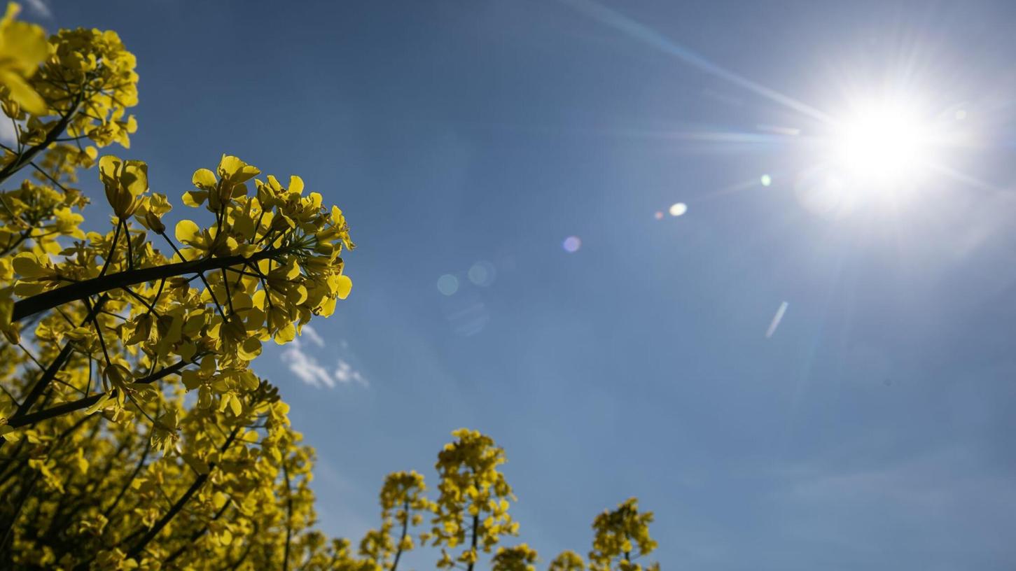 Die Sonne scheint zum Wochenstart fast im gesamten Freistaat. (Symbolbild) Die Sonne scheint zum Wochenstart fast im gesamten Freistaat. (Symbolbild)