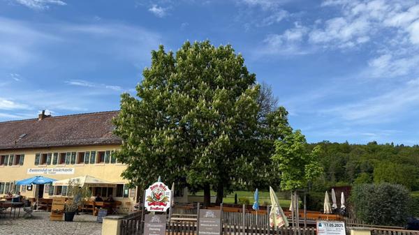 Das Gasthaus zur Klosterkapelle, auch "die Kappl" genannt, liegt in Diethofen und bietet im Außenbereich Platz für 250 Personen. Per Selbstbedienung können sich die Gäste zünftige Brotzeit, Bratwurst mit Kraut, Schnitzel mit Pommes und mehr bestellen. Das Lokal hat Dienstag bis Sonntag ab 14 Uhr geöffnet.