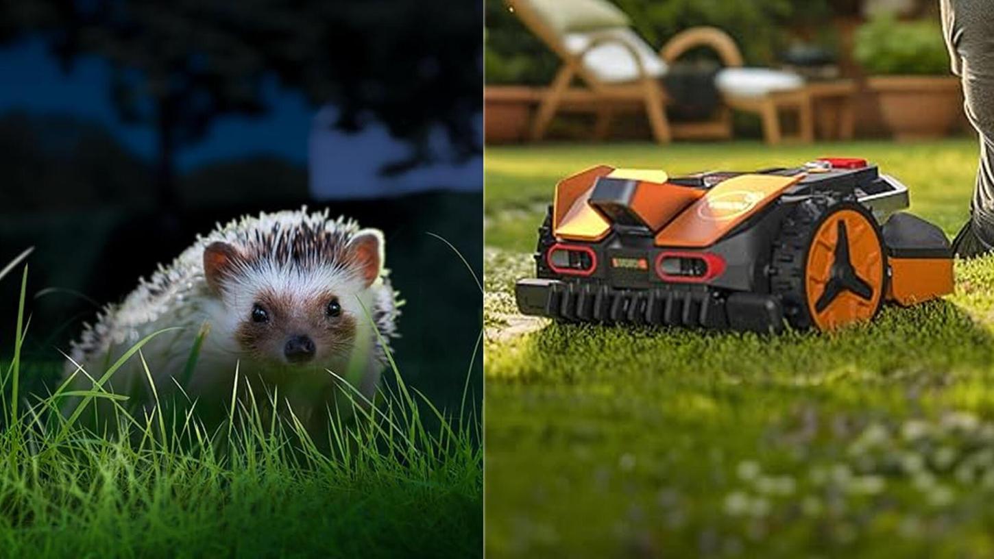 Das KI-gestützte Full-HD-Kamerasystem erkennt Hindernisse wie Igel zuverlässig und sorgt dafür, dass der Mähroboter ausweicht. Das KI-gestützte Full-HD-Kamerasystem erkennt Hindernisse wie Igel zuverlässig und sorgt dafür, dass der Mähroboter ausweicht.
