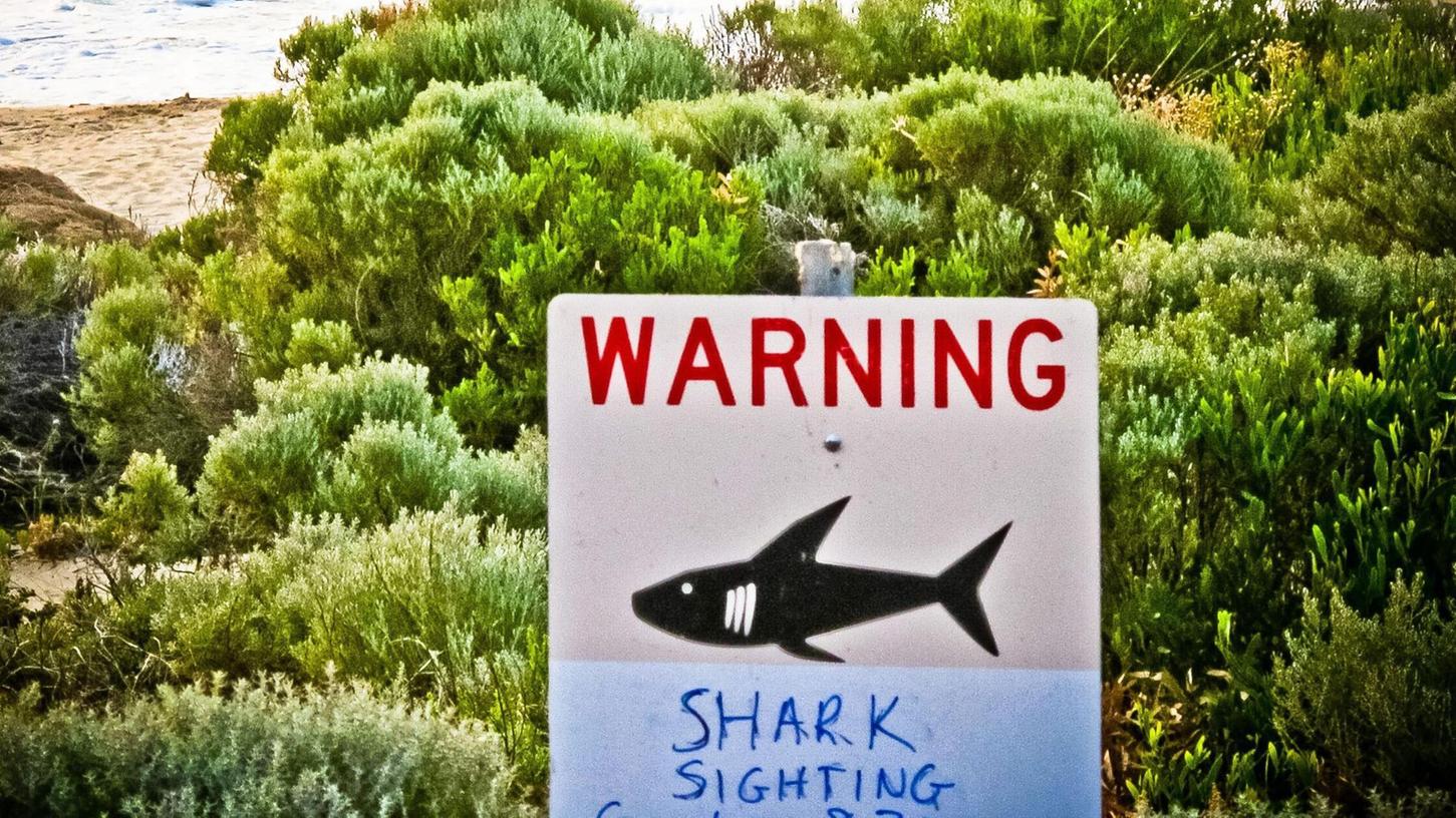 Die Gewässer rund um Australien sind berühmt-berüchtigt: Es kommt immer wieder zu Haiangriffen auf Schwimmer und Surfer. (Symbolbild) Die Gewässer rund um Australien sind berühmt-berüchtigt: Es kommt immer wieder zu Haiangriffen auf Schwimmer und Surfer. (Symbolbild)