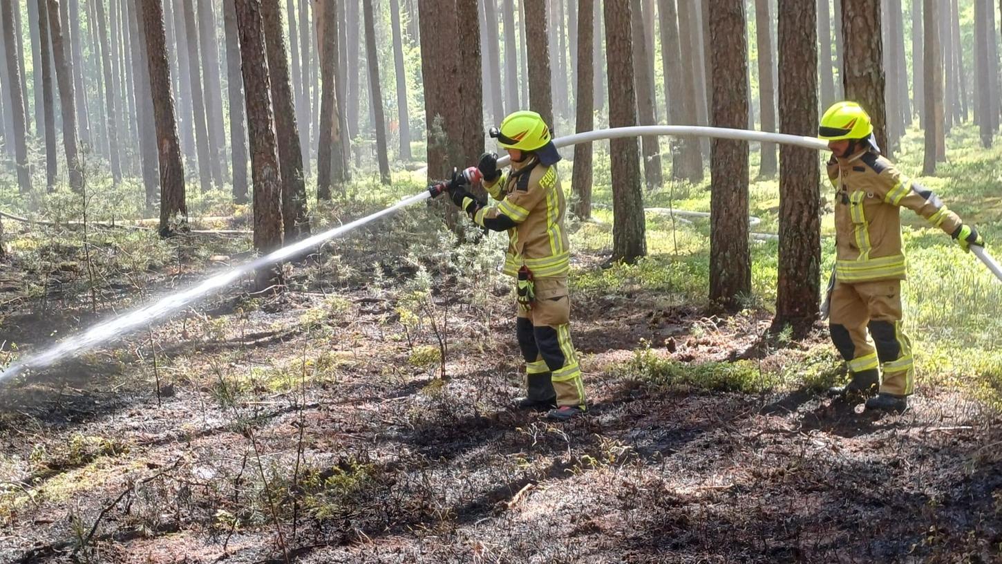 Die Folgen der lang anhaltenden Trockenheit: Im Wald nahe der Kaserne in Richtung Eckersmühlen brannte es. Drei Feuerwehren waren für die Löscharbeiten vor Ort. Die Folgen der lang anhaltenden Trockenheit: Im Wald nahe der Kaserne in Richtung Eckersmühlen brannte es. Drei Feuerwehren waren für die Löscharbeiten vor Ort.