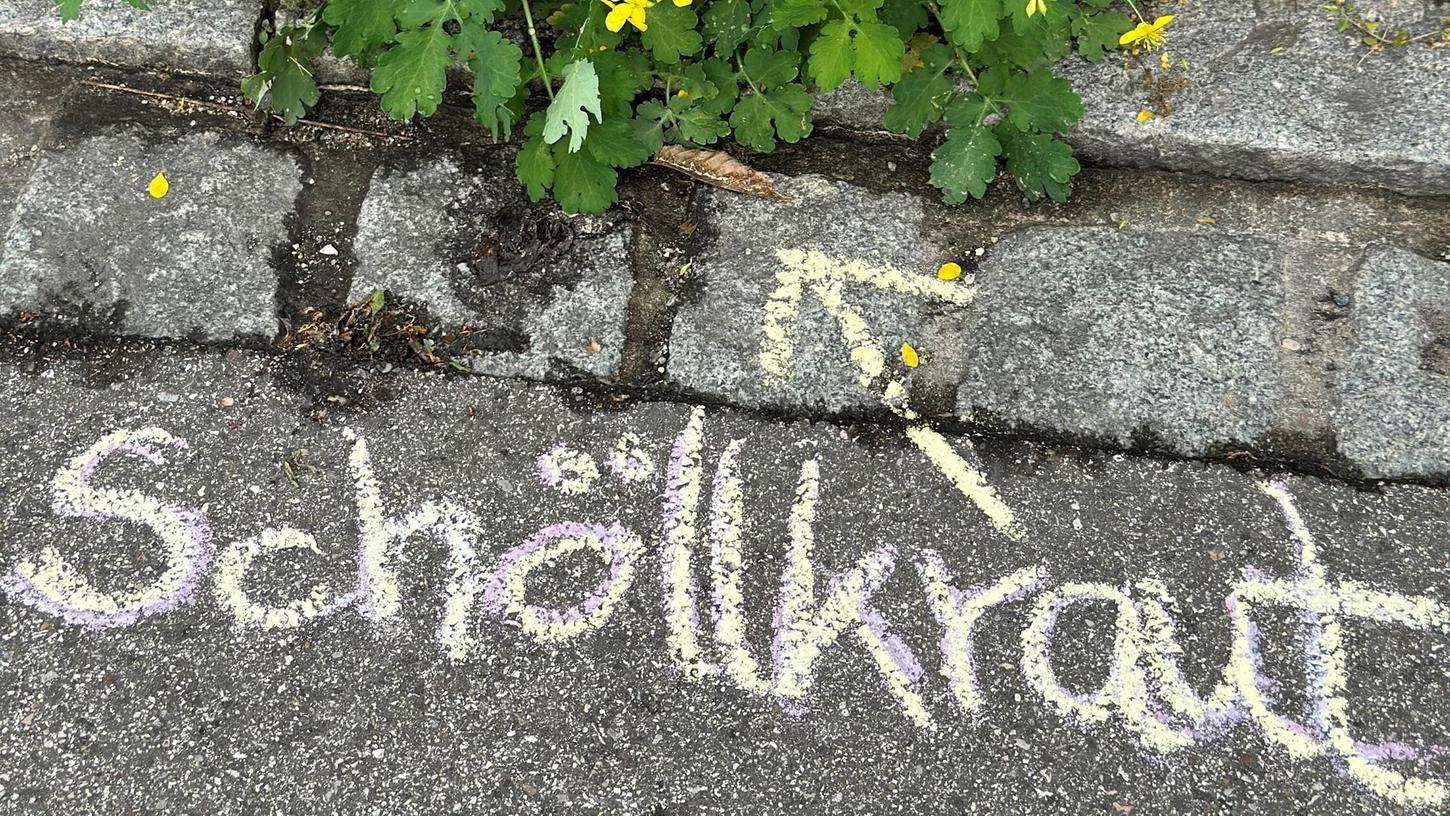 Auf Wildpflanzen in Pflasterfugen und Mauerritzen wird mit Kreide hingewiesen. Auf Wildpflanzen in Pflasterfugen und Mauerritzen wird mit Kreide hingewiesen.